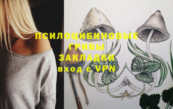 герыч Алзамай