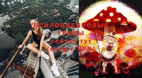МДПВ Алексеевка