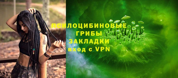МДПВ Алексеевка