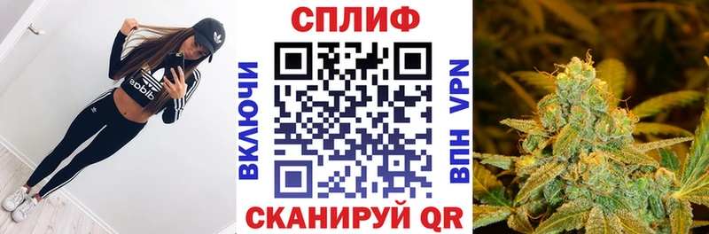 Каннабис ГИДРОПОН Тогучин