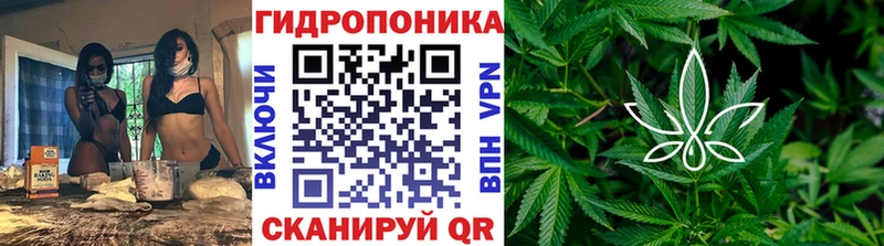 Конопля MAZAR  Тогучин 